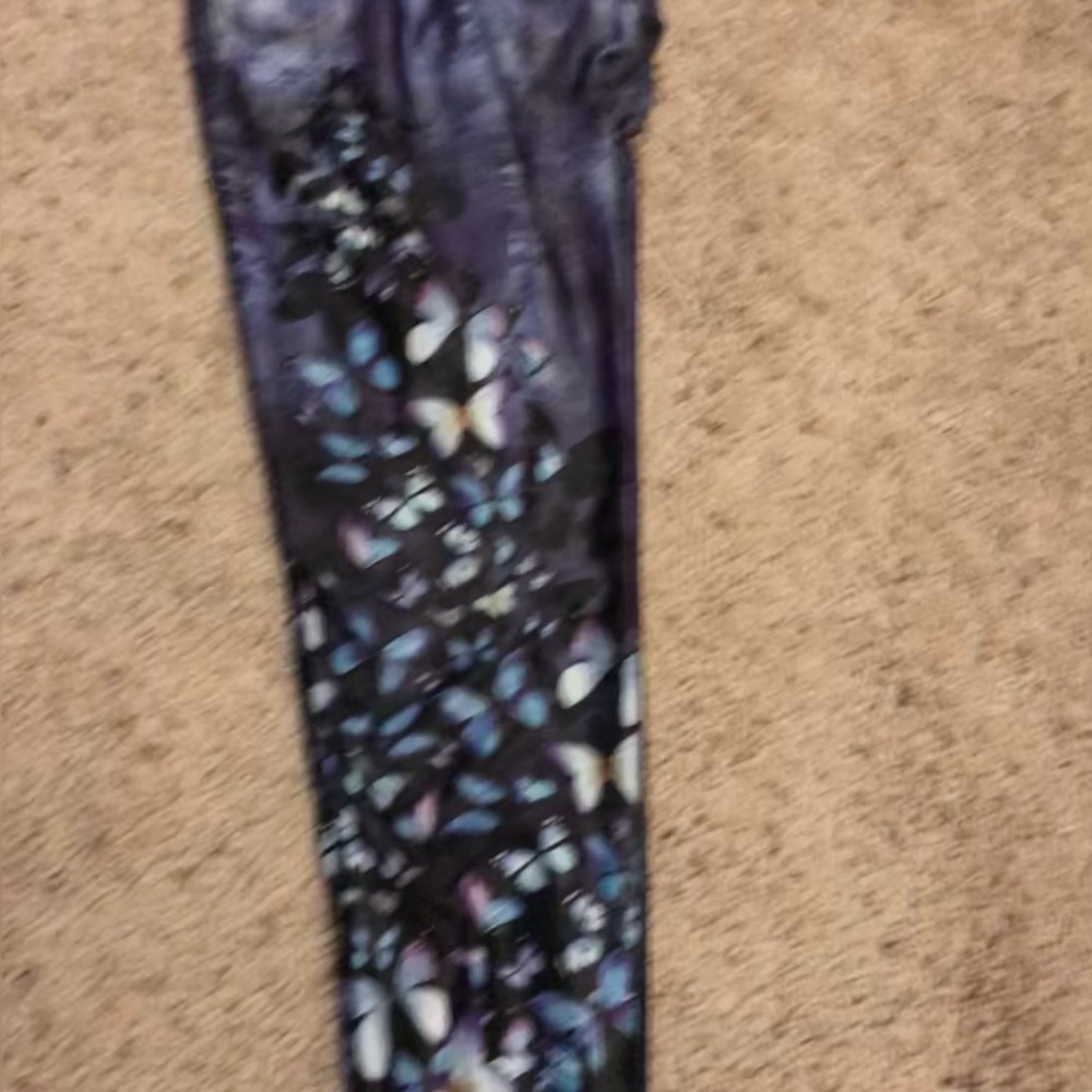 Evolution and Creation Active